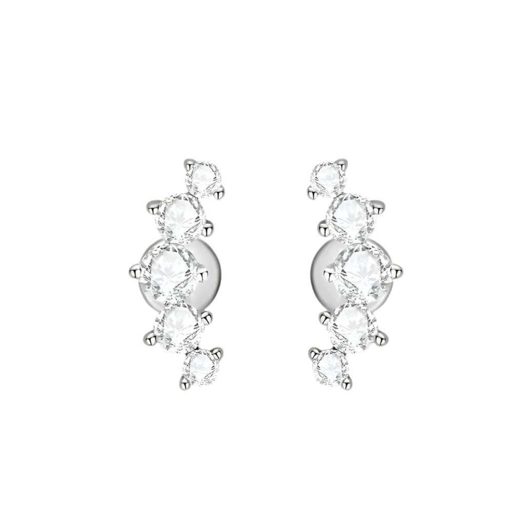 Moissanite Diamond Earrings Stud Climbers shop name