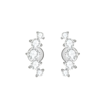 Moissanite Diamond Earrings Stud Climbers shop name