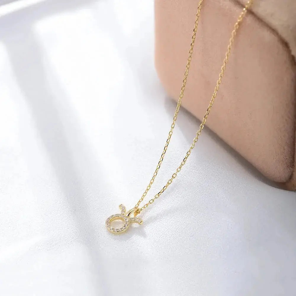 Gold Zodiac Necklace shop name